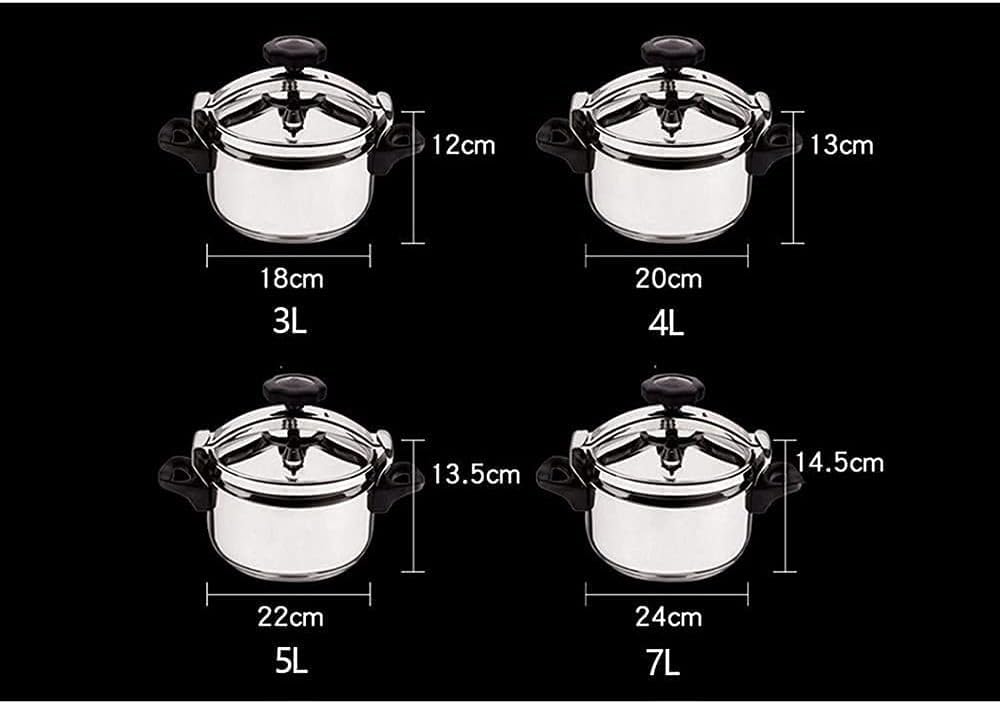 3L Multifunctional 304 Stainless Steel Pressure Cooker H117