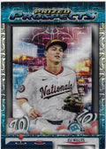 Baseball Card P27310