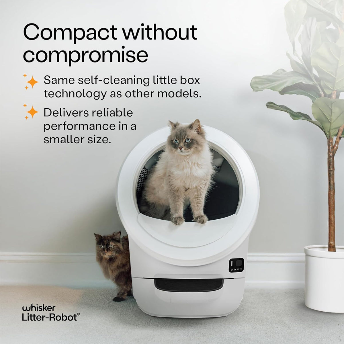 White Litter Box N238987