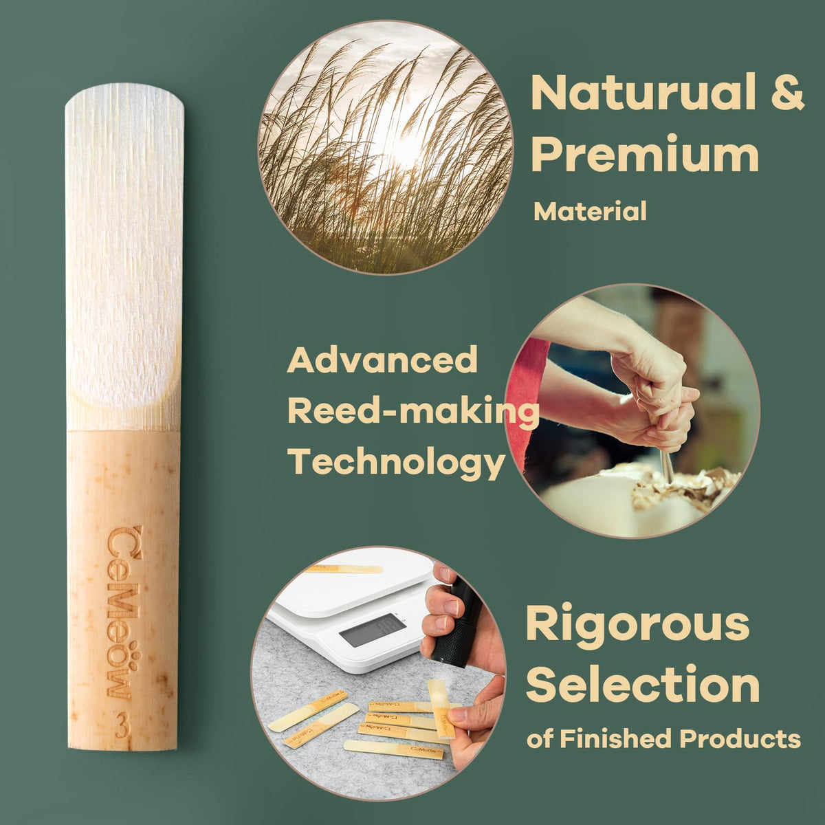 Alto Saxophone Reeds 2.0 10 Pack R53477