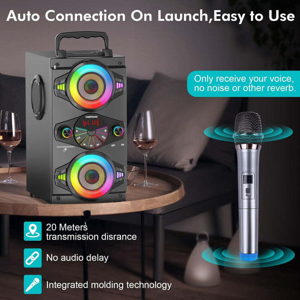 60W Portable Bluetooth Speaker with Subwoofer N476