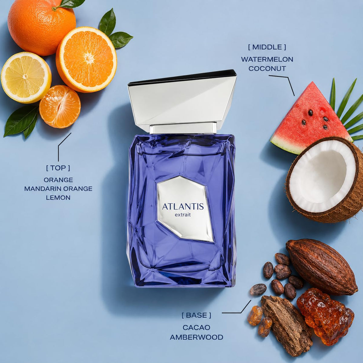 Extrait EDP 100ml P73025