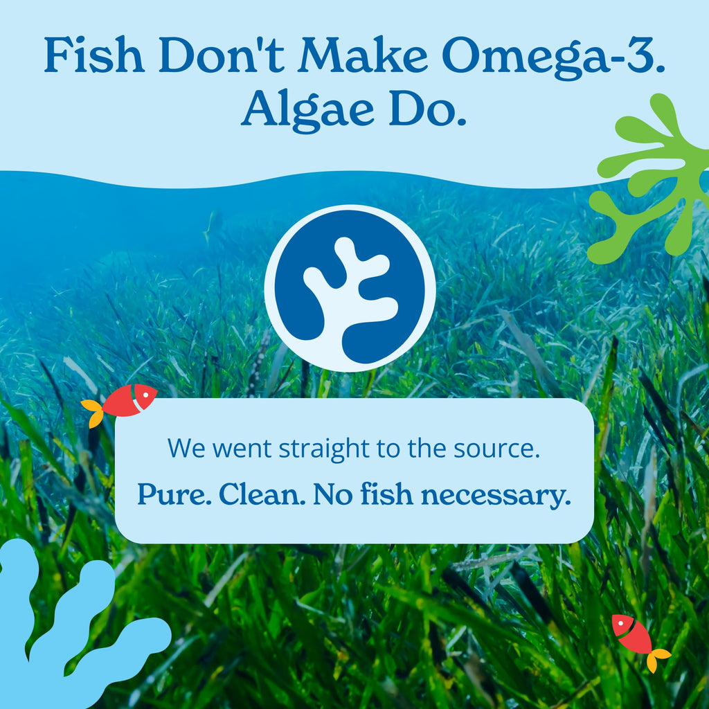 Vegan Omega 3 Algae Oil 120 Count Softgels M3250