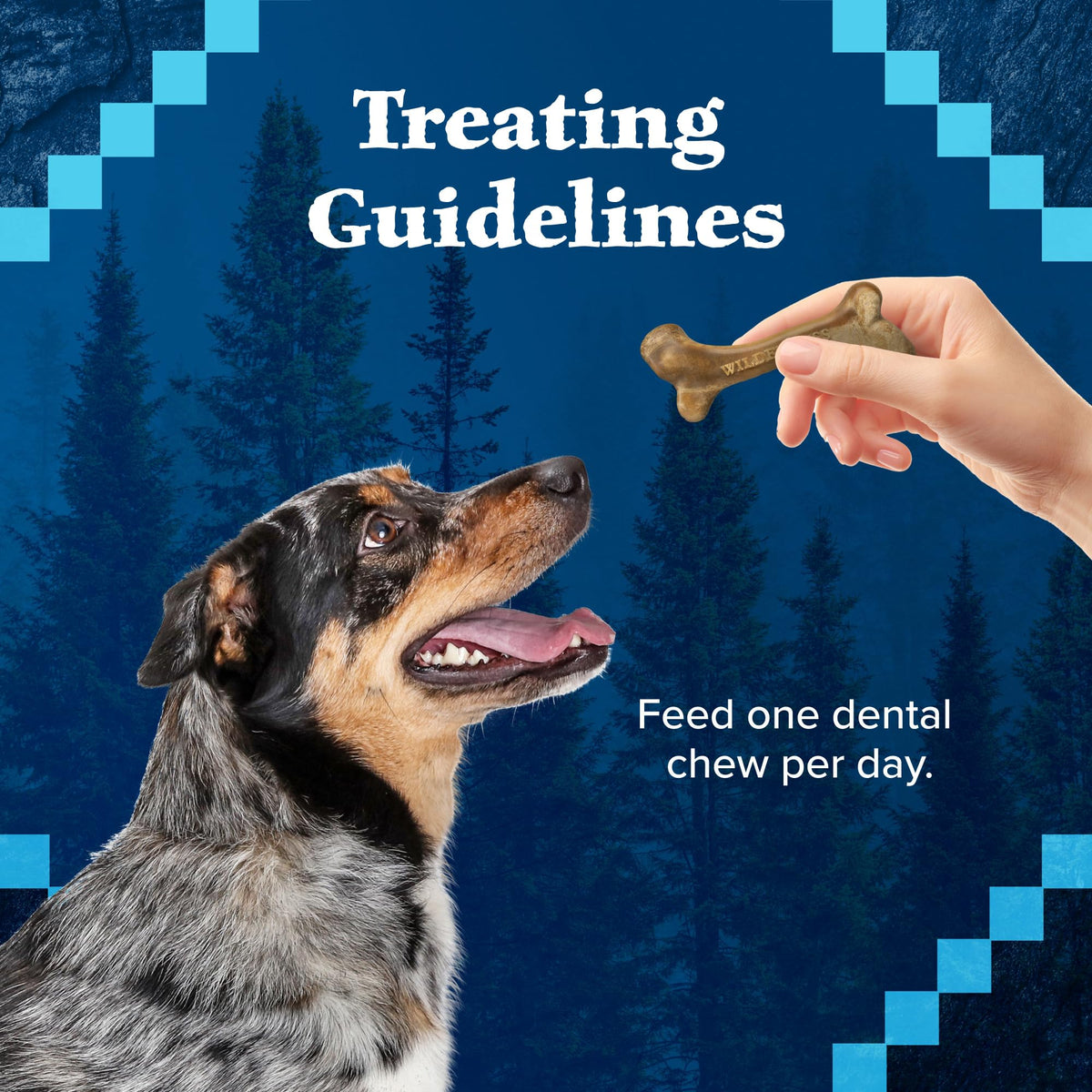 Grain-Free Large Dog Dental Chews S357