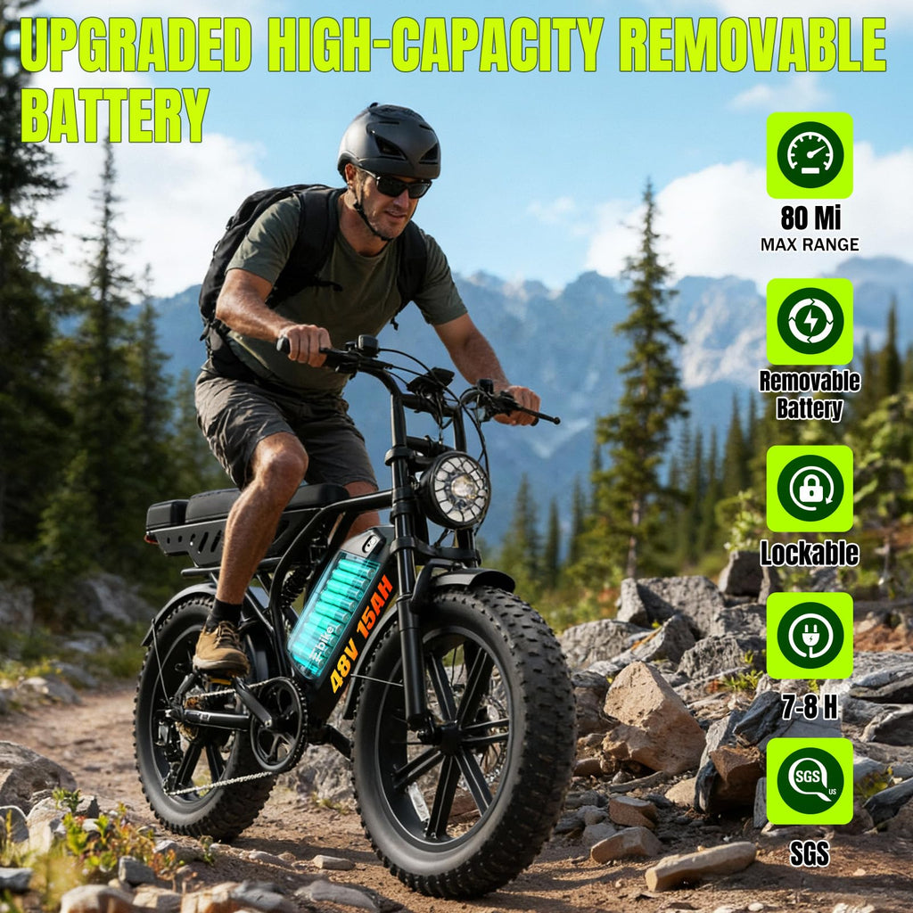 Electric Bike 48V 15Ah Battery 1500W Peak Motor 20 * 4.0 Fat Tire L416
