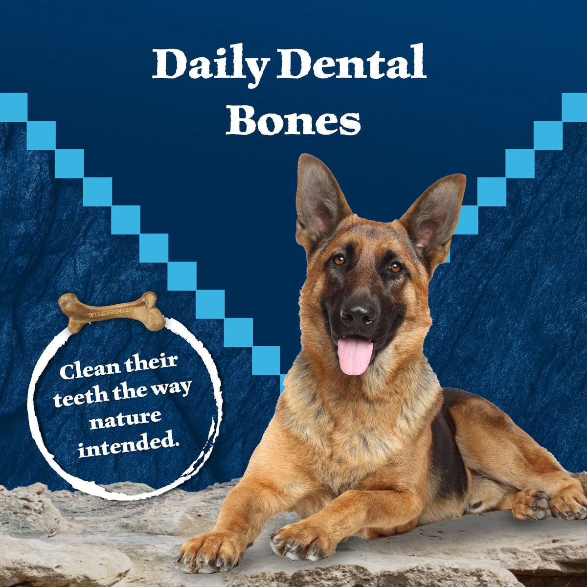 Grain-Free Large Dog Dental Chews S357