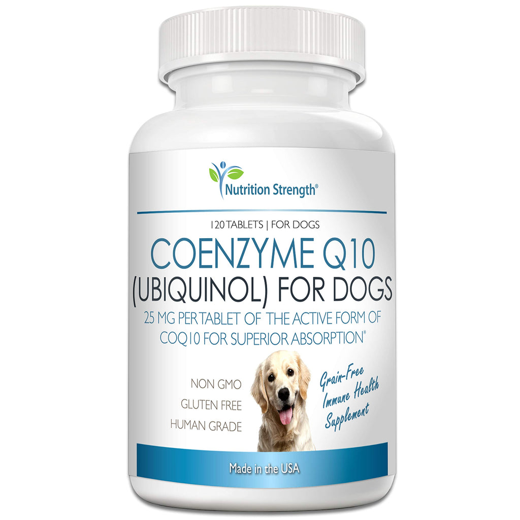Coenzyme Q10 for Dogs Grain-Free Supplement, 120 Chewable Tablets R2661