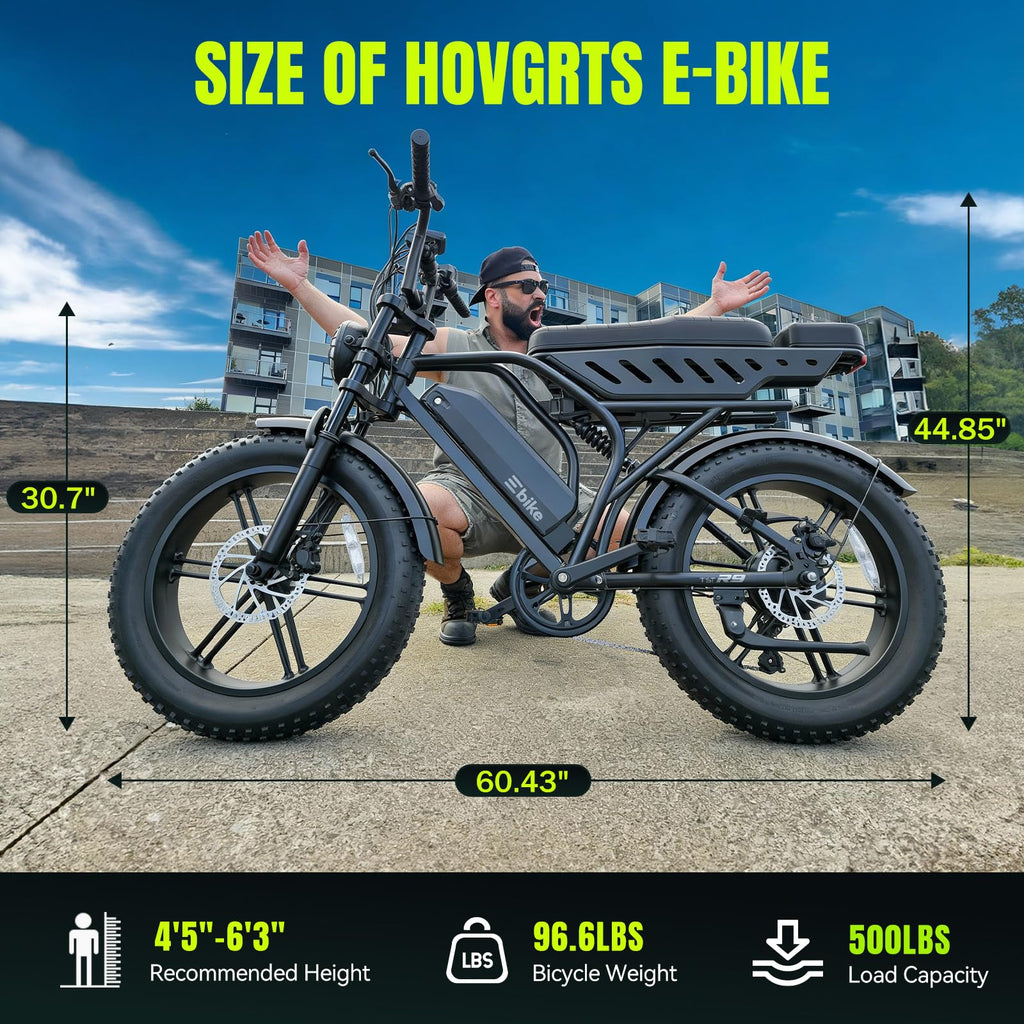 Electric Bike 48V 15Ah Battery 1500W Peak Motor 20 * 4.0 Fat Tire L416