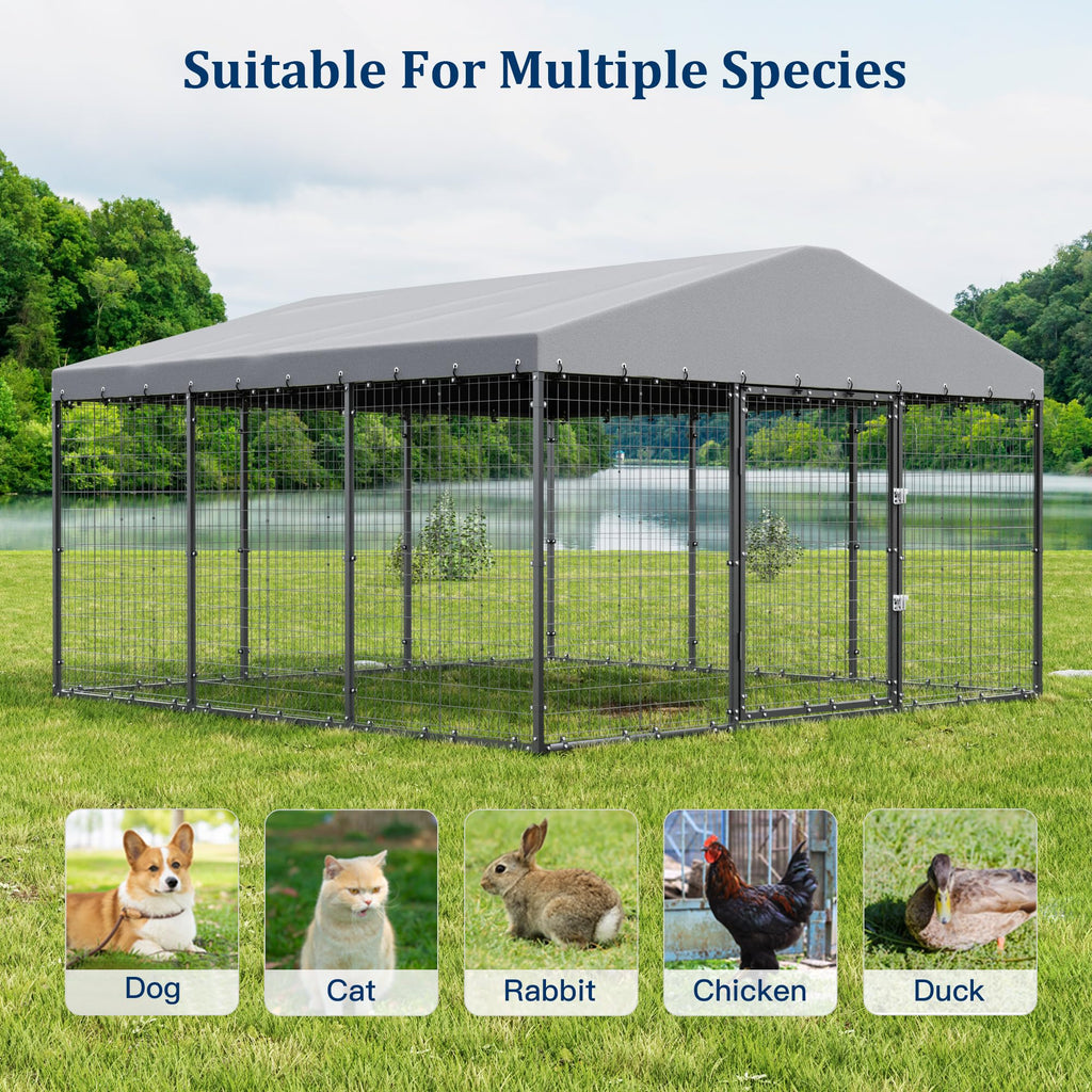 10' x 10' Outdoor Dog Kennel with Roof V984968