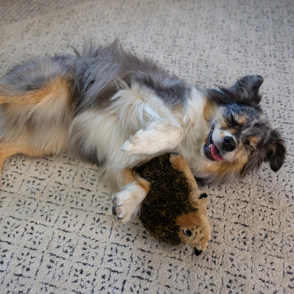 Plush Dog Toy W970